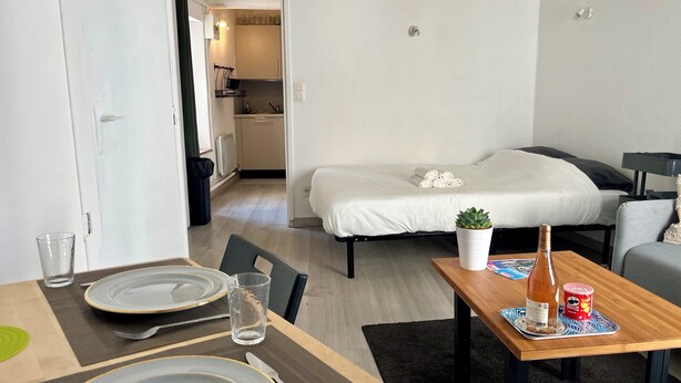 A compact hotel room with a bed, a small kitchenette, a dining area with a table set for two, and a single potted plant. - Cozy Avignon Apartment Intra muros  (Avignon)