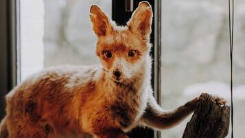 32-inch Smart TV with digital channels, books, stereo