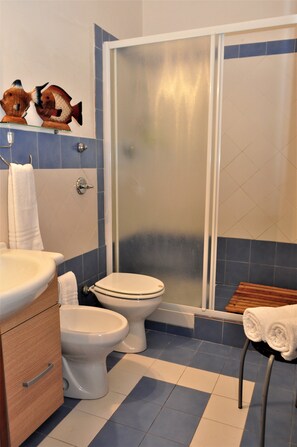 Shower, hair dryer, bidet, towels