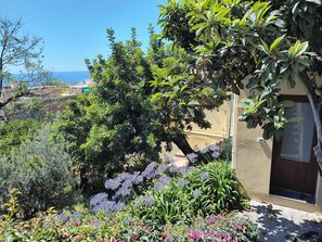 Exterior detail - Sea view, trekking, detached house with private garden  (Alassio)