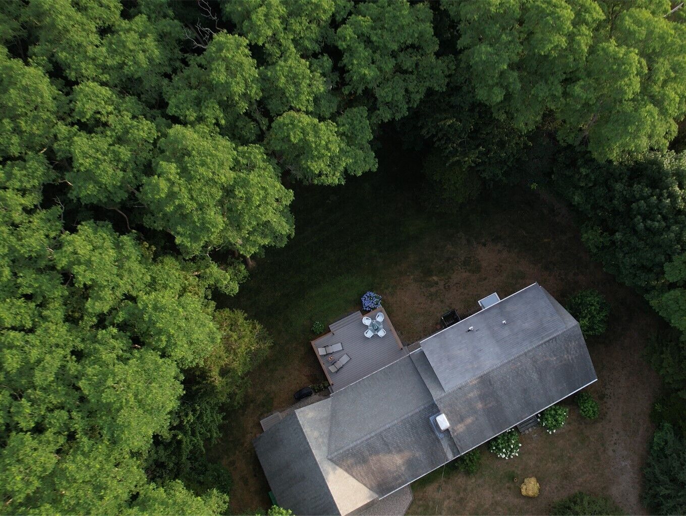 Homestead in Serenity, interesting booking options!
