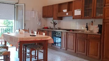 Fridge, oven, stovetop, cookware/dishes/utensils