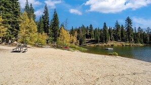 A sandy beach with picnic tables and kayaks, surrounded by tall evergreen trees and a calm lake.