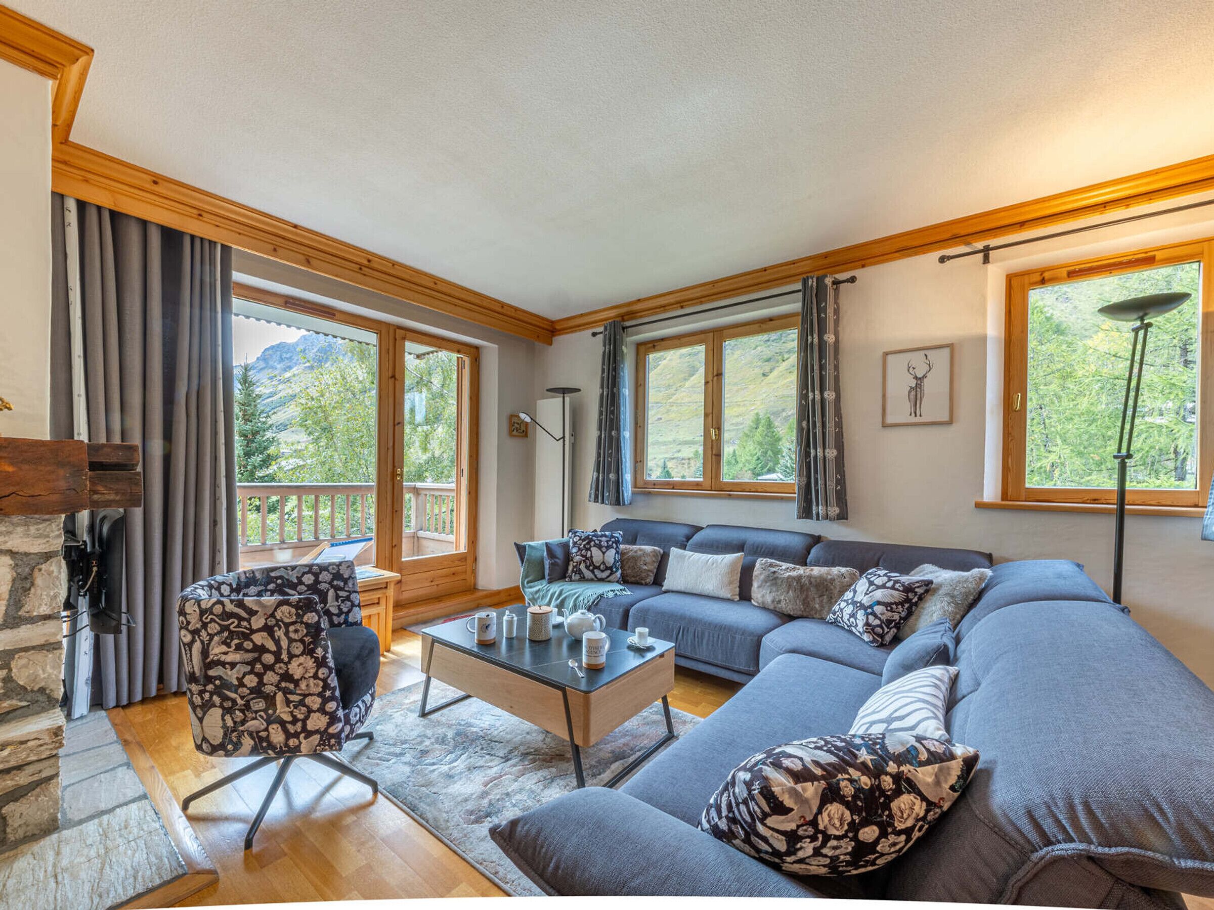 Télévision, cheminée, lecteur de DVD