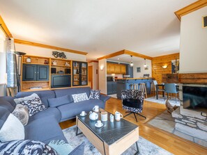 电视、壁炉、DVD 播放器