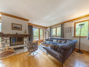 Télévision, cheminée, lecteur de DVD