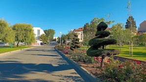 Eine Straße mit ordentlich geschnittenen Hecken und blühenden Pflanzen, ein weißes Gebäude mit einer Kuppel und ein klarer, blauer Himmel.