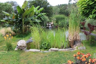 Apartment in beautiful surroundings.