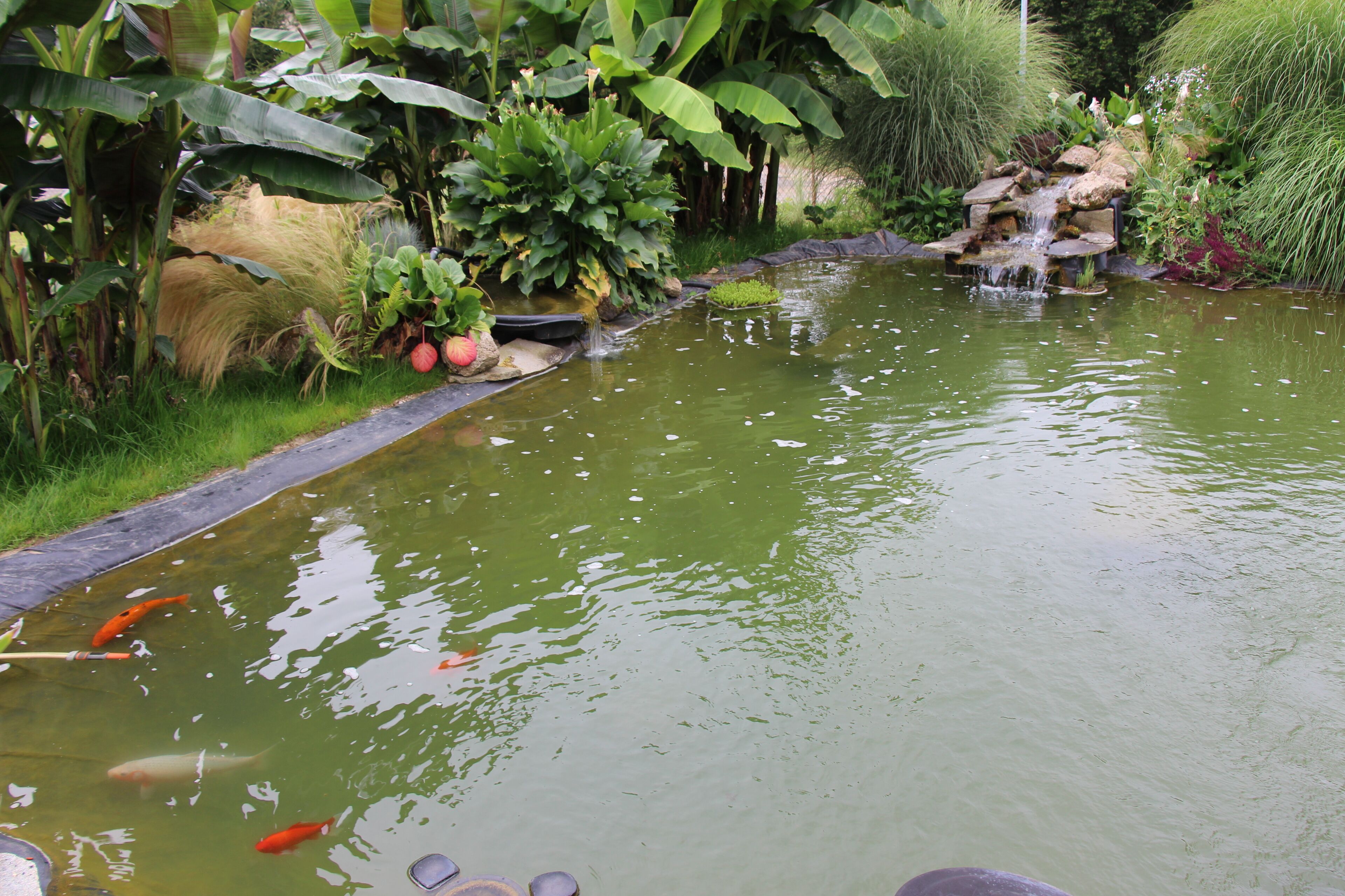 Terrein van de accommodatie