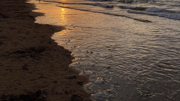 A beach at sunset with waves gently lapping the shore. - Résidence de Tourisme Le Sherman (Colleville-sur-Mer)