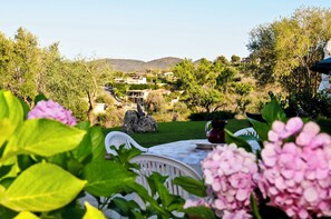 Terrace/patio - Stazzu Fioritu trilocali vista mare (San Teodoro)
