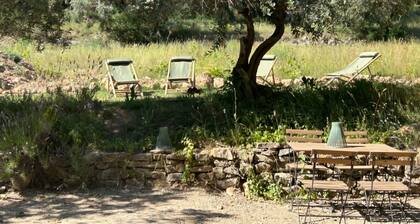 Lodge de Matourne, on a wine-growing estate in the heart of nature