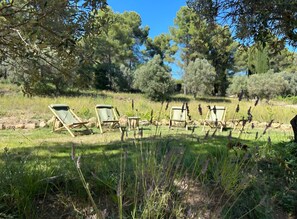 Property grounds - Lodge de Matourne, on a wine-growing estate in the heart of nature (Flayosc)