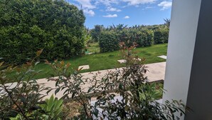 A view from a balcony overlooking a well-maintained garden with a variety of plants and a clear blue sky. - AMARELO the YELLOW room (Feteira)