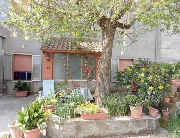 Enceinte de l’hébergement