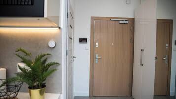 Ein Flur mit Holztür, Topfpflanze und Wandthermostat.