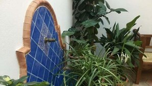 Una puerta azul con un diseño decorativo, rodeada de plantas en macetas.