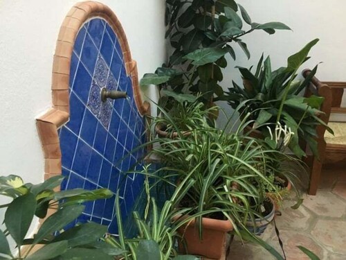 Rental unit in Córdoba · ★4.25 · Studio · 2 beds · 1 bath