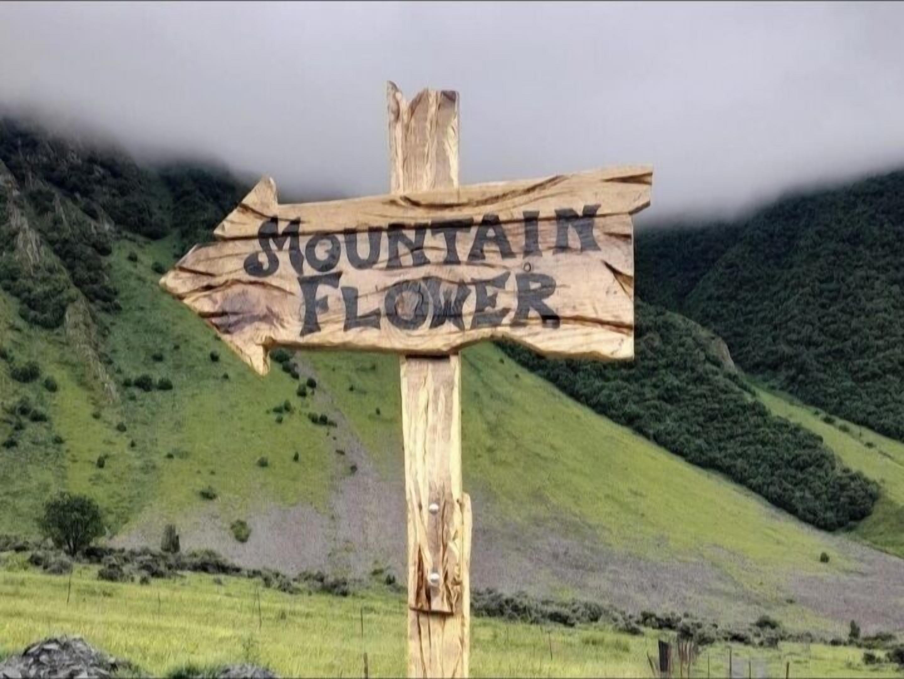 Un cartel de madera con el texto 'MOUNTAIN FLOWER' señalando a la derecha.