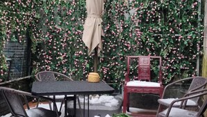 Eine Terrasse mit Tisch und Stühlen, umgeben von einer mit Grünpflanzen und pinken Beeren bewachsenen Mauer.