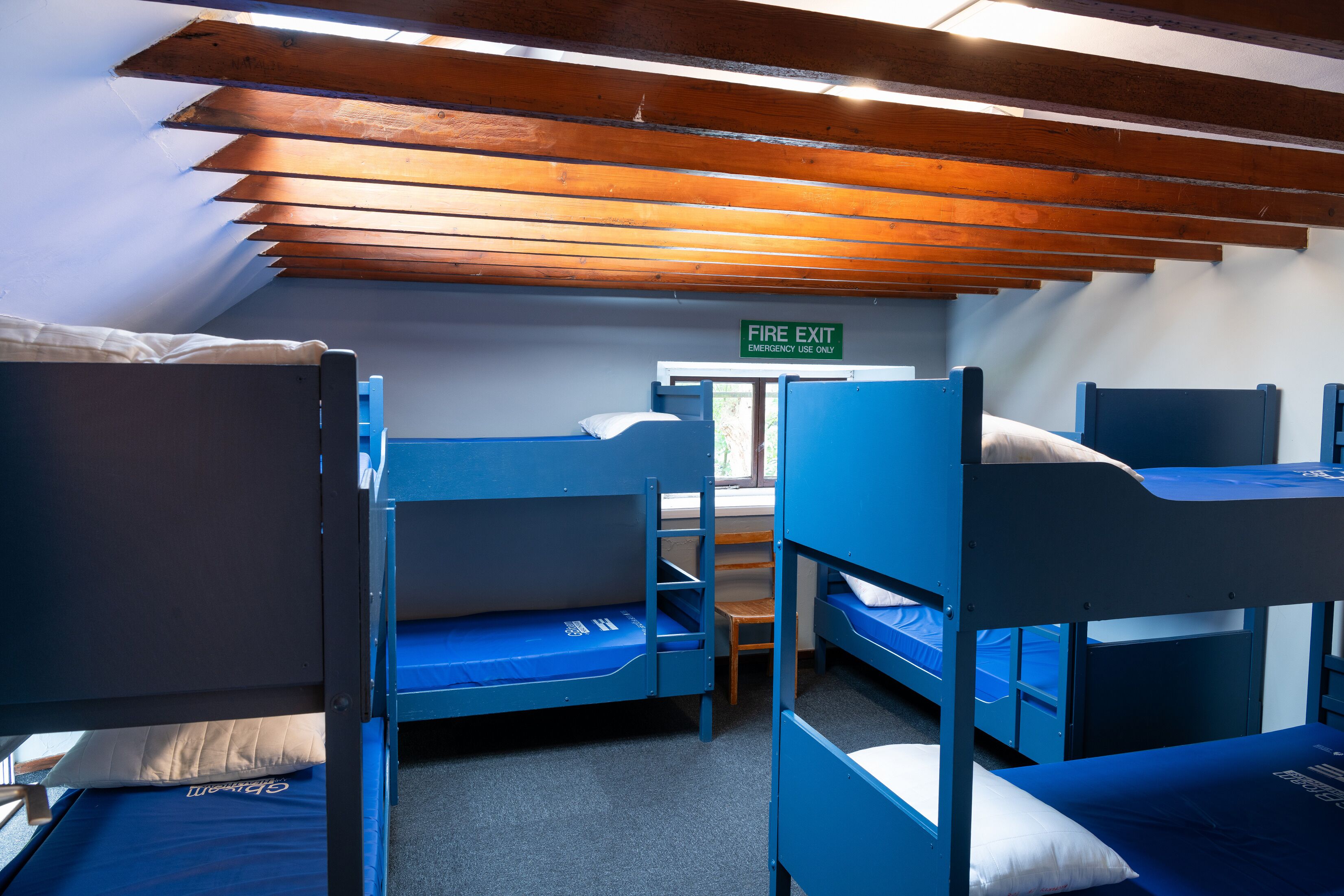 A dormitory room with bunk beds, a fire exit sign, and a window.