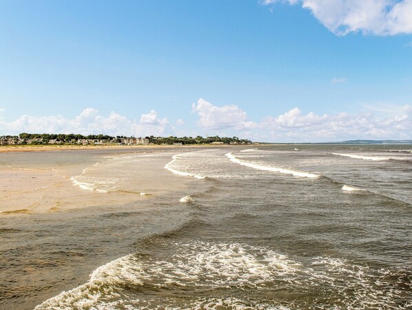 صيد الأسماك