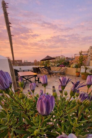 Rooftop terrace - Riad 48 & Spa (Marrakech)
