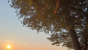 A wooden deck with lounge chairs along a rocky beach, leading to the ocean. - Sunset Paradise on Lake Michigan (Charlevoix)