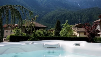 Sauna, hot tub, steam room