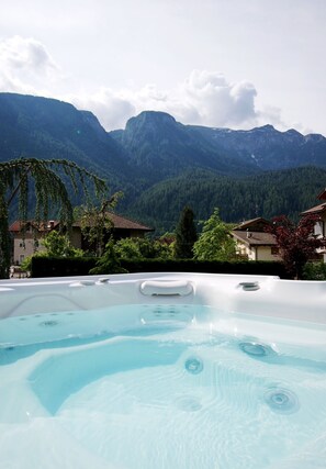 Sauna, hot tub, steam room