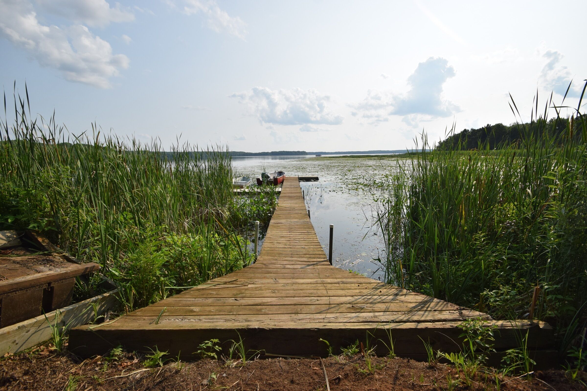 Une jetée en bois s’étendant sur une étendue d’eau calme, entourée d’une végétation luxuriante.