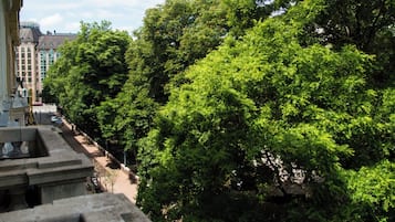 Superior Apartment with Balcony - Park View
