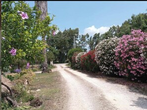 Miscellaneous - Serraona triple room with bathroom (ALGHERO)