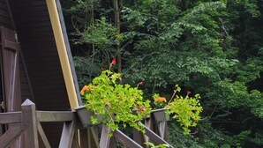 A wooden deck with a stone wall, surrounded by greenery and a forested area. - Location Chalet, Entièrement Rénové ,beaucoup de Charme, sur une Prairie (campan)
