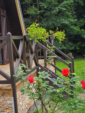 Détail de l’extérieur