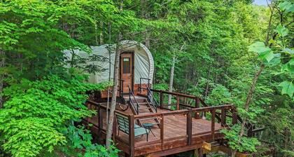 Glamping in Luxury Wagon/AC/king