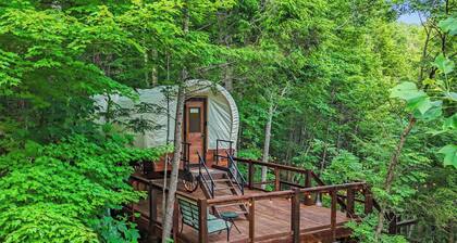 Romantic Luxury Under the trees