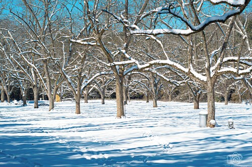 Cozy Camper 2-bedroom RV in Americus GA 