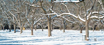 Cozy Camper 2-bedroom RV in Americus GA 