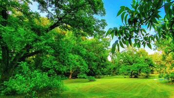 A lush green park with mature trees and a well-maintained grassy area.