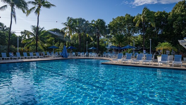 A swimming pool with lounge chairs and umbrellas, surrounded by palm trees. - Couples' Retreat 2BR w/ Ocean Views, Pool & Beach (Tavernier)
