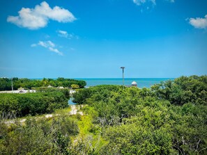 Eine Küstenlandschaft mit üppiger Vegetation, blauem Himmel und weiter Aussicht auf den Ozean.