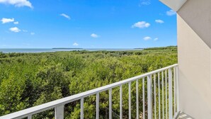 Property grounds - Key Largo 2BR Condo - Ocean View, Pool, and Beach (Tavernier)