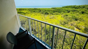 A balcony with a view of the ocean and dense greenery. - 2BR - Ocean View, Pool & Near Founders Park (Tavernier)