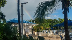 A poolside area with lounge chairs and umbrellas, a building with a blue roof, and a palm tree. - Ocean View 2BR Condo – Pool, Beach, near the fun (Tavernier)
