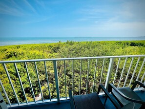 Property grounds - Relaxing 2BR w/ Ocean View, Pool & Private Beach (Tavernier)