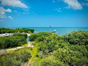 A coastal landscape with dense greenery, a small dock, and a clear blue sky. - Escape to the Keys, Ocean View 2BR - Pool, Beach (Tavernier)