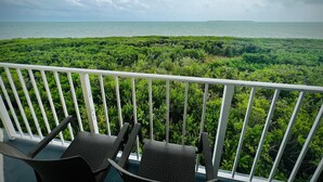 Ein Balkon mit zwei Stühlen mit Blick auf eine üppige grüne Landschaft und ein Gewässer.