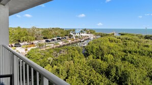Une propriété située sur la côte, dotée d’un port de plaisance, d’une végétation luxuriante et offrant une vue dégagée sur l’océan.
