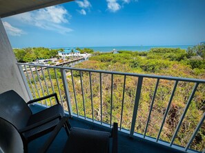 Property grounds - Family 2BR w/ Ocean View, Pool & Tropical Landscaping (Tavernier)